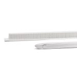 401021-agrupada-4.jpg